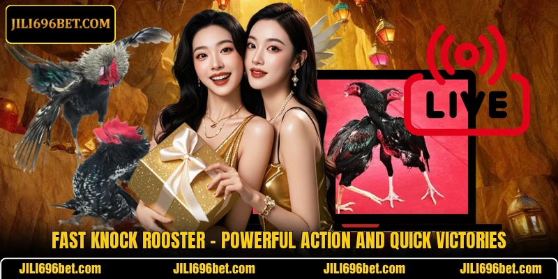 Fast Knock Rooster – Powerful Action And Quick Victories