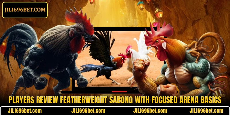 Players review Featherweight Sabong with focused arena basics