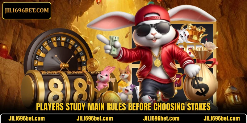 Players study main rules before choosing stakes